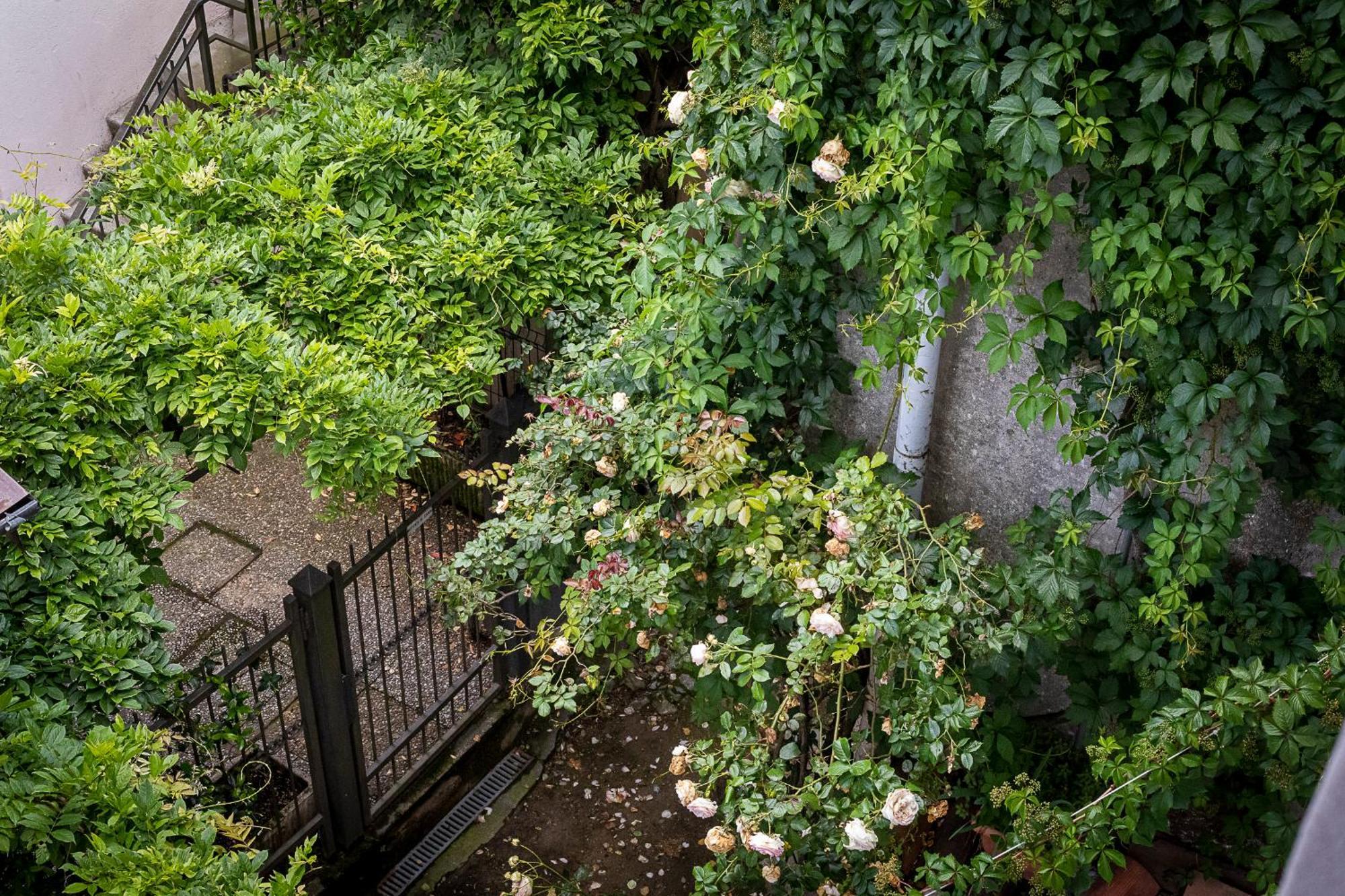 Fiordaliso * Côme
